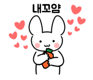 경성보쌈 이미지