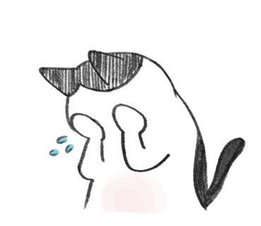 화이트세탁편의점 이미지
