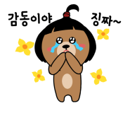 PAMA 이미지