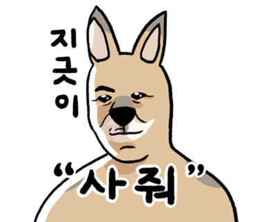 돌돌부엌 이미지