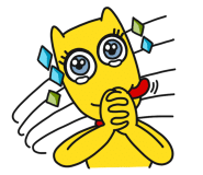 퀸토탈케어 이미지
