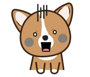 인제카튜닝 이미지