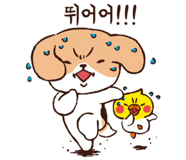 리얼터키 이미지