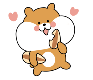 욜로식당 이미지